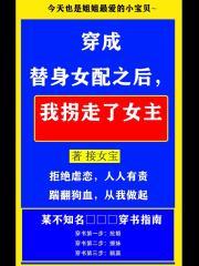 穿成替身女配之后,我拐走了女主