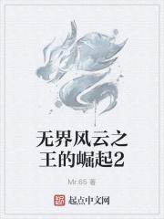 无界风云之王的崛起2