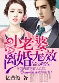老婆，离婚无效！