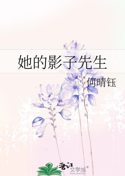 她的影子先生
