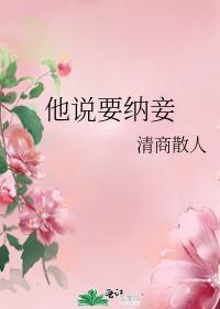 他说要纳妾