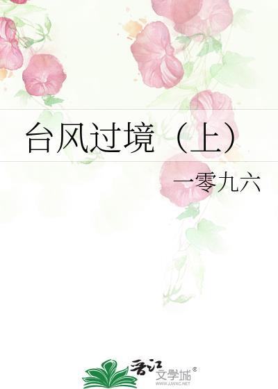 臺风过境(上)