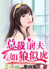 总裁前夫,如狼似虎