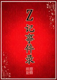 Z记事件录