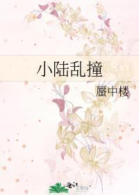 小陆乱撞