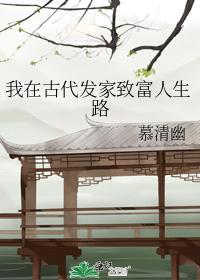 我在古代发家致富人生路