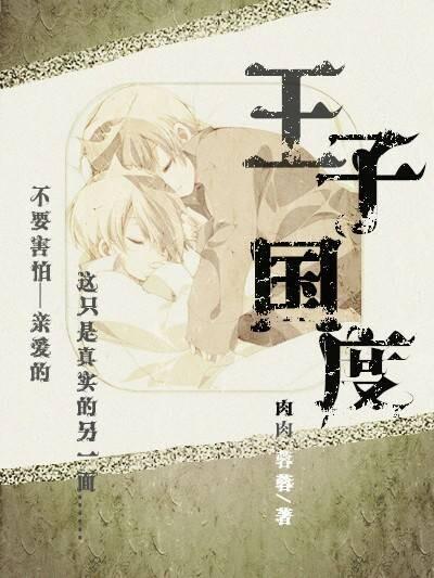 毁童话之王子国度