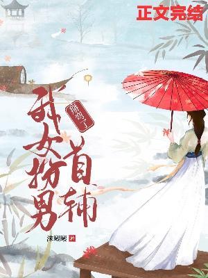 我女扮男掰弯了首辅