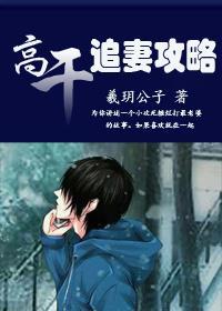 高干，追妻攻略