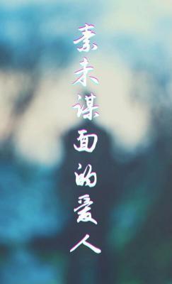 素未谋面的爱人