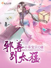 帝少别太猛