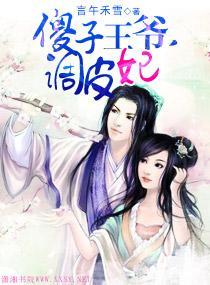 傻子王爷，调皮妃