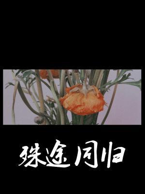 殊途同归