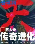 传奇进化