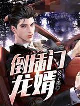 倒插门龙婿