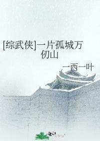 [综武侠]一片孤城万仞山