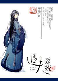 追夫系统