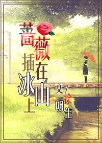 蔷薇插在冰山上