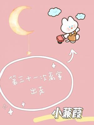 第31次离家出走