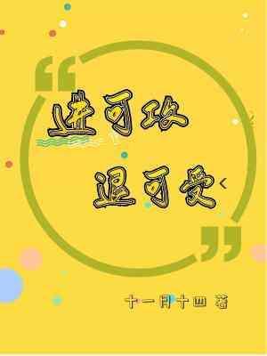 进可攻 退可受