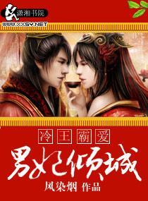 冷王霸爱,男妃倾城