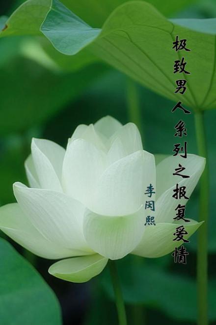 一个影卫的故事