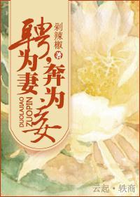 聘为妻，奔为妾