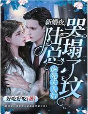 新婚夜，虐死夫人后陆总哭塌了坟