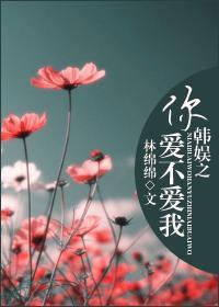 韩娱之你爱不爱我