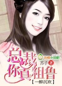 一醉沈欢:总裁,你真粗鲁