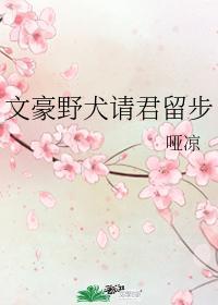 文豪野犬请君留步