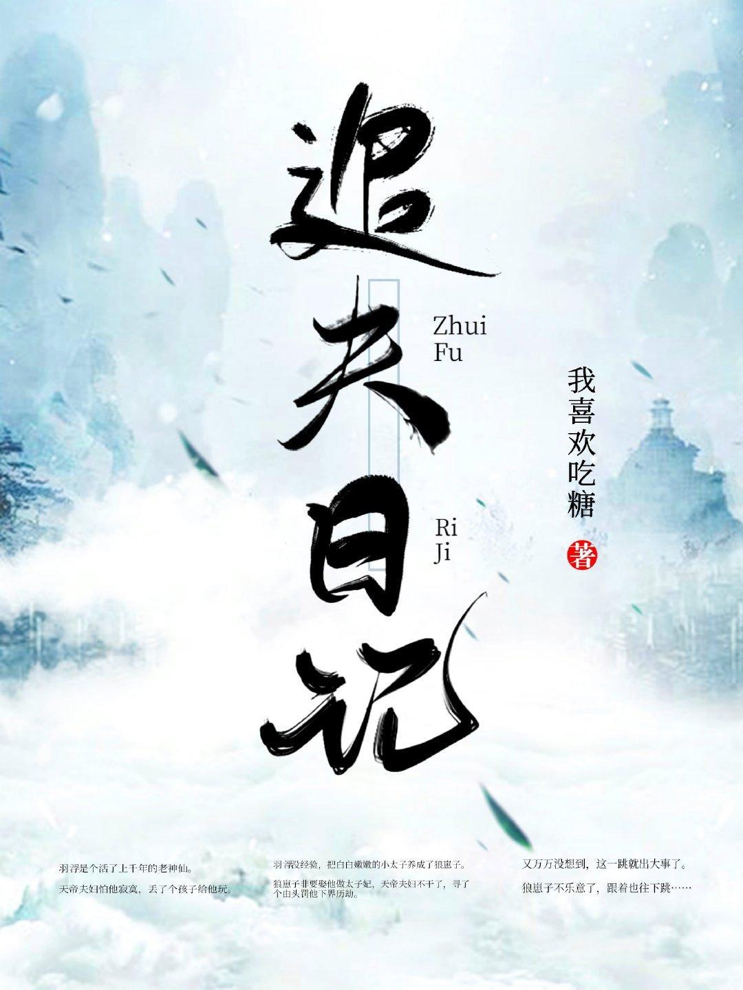 追夫日记
