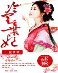 替身侍婢魅君心:一夜弃妃