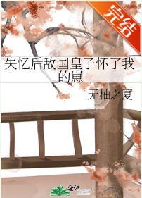 失忆后敌国皇子怀了我的崽