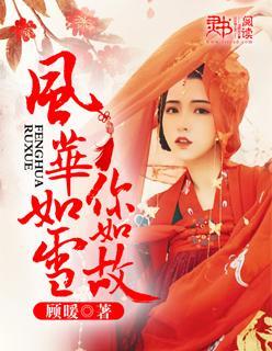 风华如雪你如故