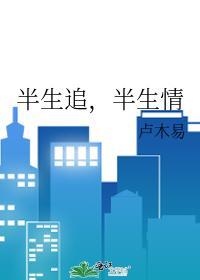 半生追，半生情