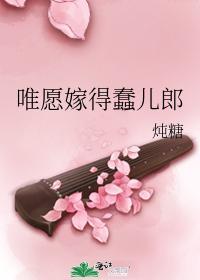 唯愿嫁得蠢儿郎