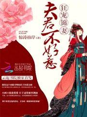 夫君不好惹：狂宠锦妻