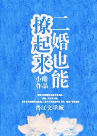 二婚也能撩起来