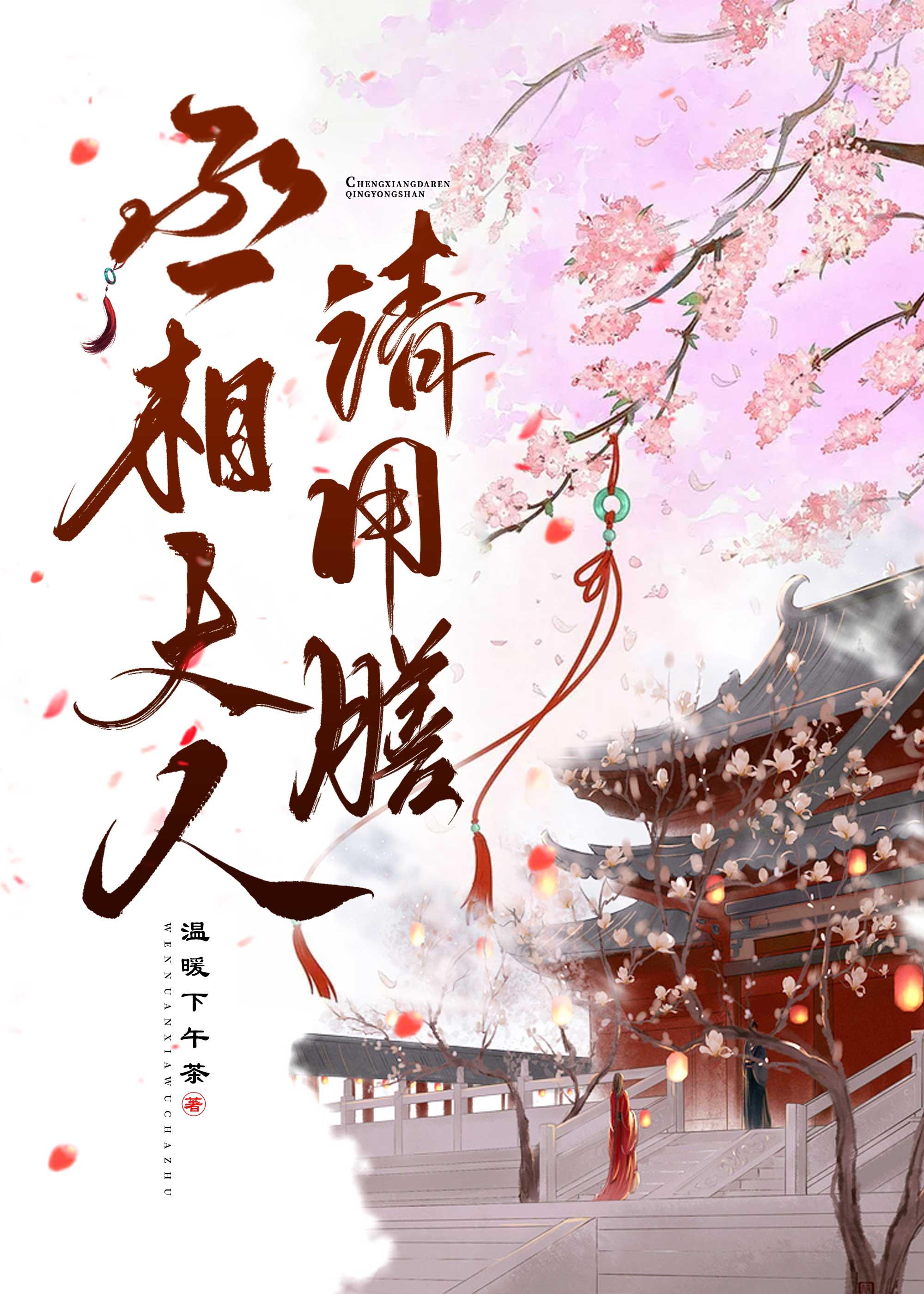 穿到三国,丞相大人请用膳