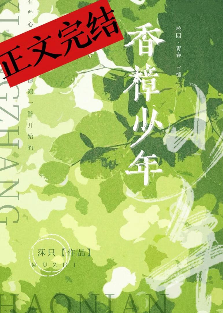 香樟少年