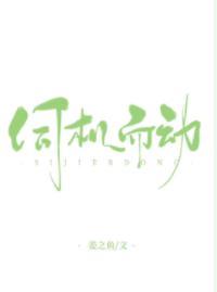 伺机而动