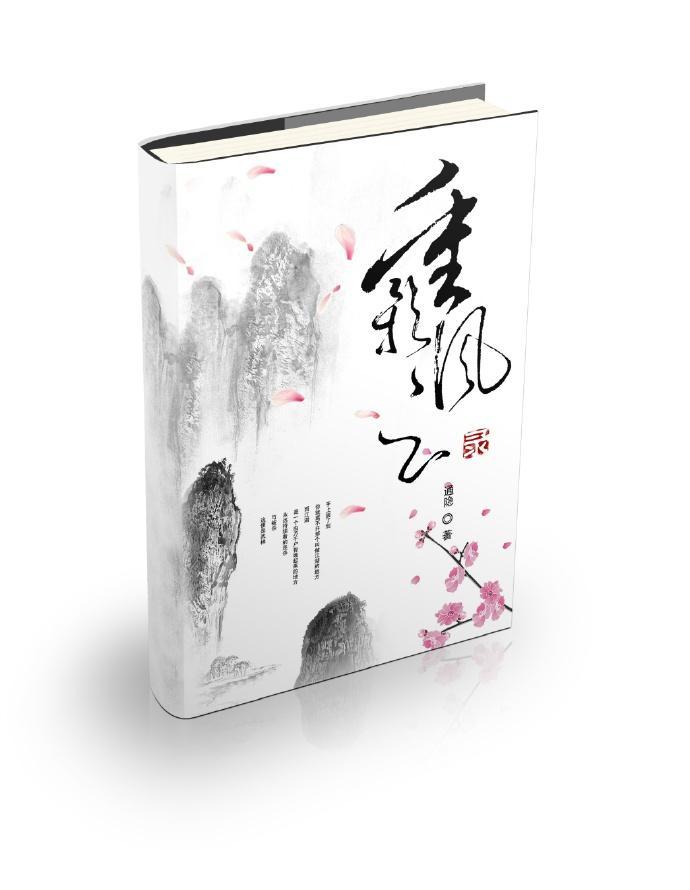 重影风云录