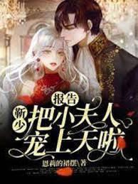 报告：靳少把小夫人宠上天啦