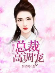 慕明月宫律