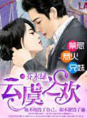 独家婚宠，总裁的再婚甜妻