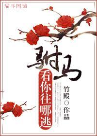 驸马，看你往哪逃