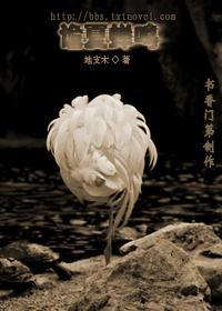 诡夏蝉鸣