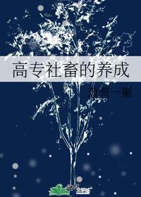高专社畜的养成