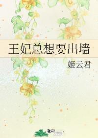 王妃总想要出墻